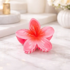 Accessoires cheveux