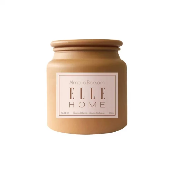 copy of