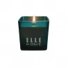 Bougie parfumée evergreen 215g